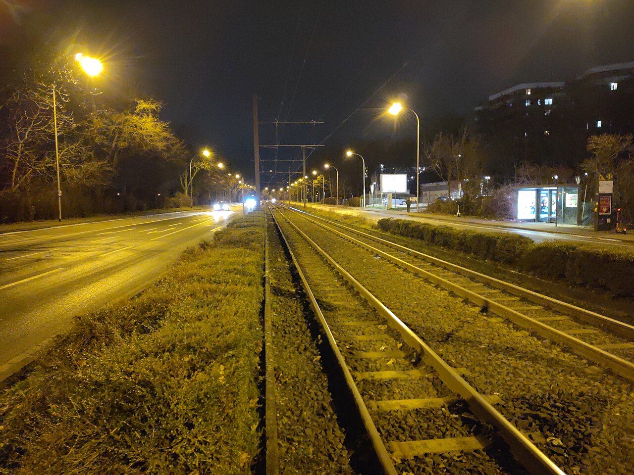A street at night under orange sodium lamps, the grass looks brown
