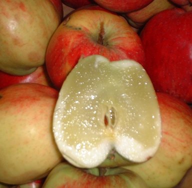 An apple cut in half with glassy, see-through flesh